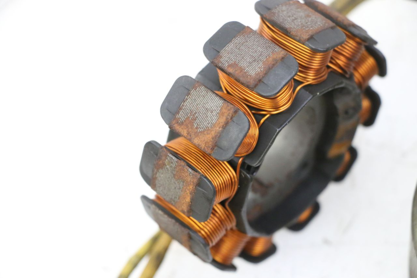 photo de ESTATOR PIAGGIO X9 EVOLUTION 125 (2003 - 2007) - Características distintivas