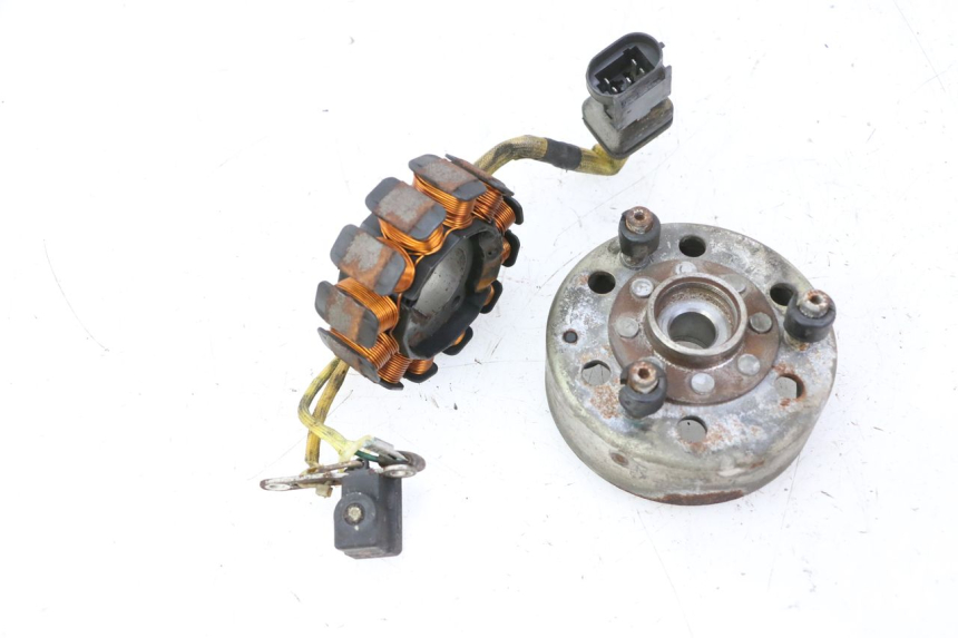 photo de ESTATOR PIAGGIO X9 EVOLUTION 125 (2003 - 2007) - Zoom sobre los componentes