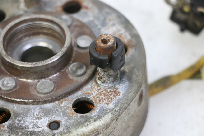 photo de ESTATOR PIAGGIO X9 EVOLUTION 125 (2003 - 2007) - Otra perspectiva