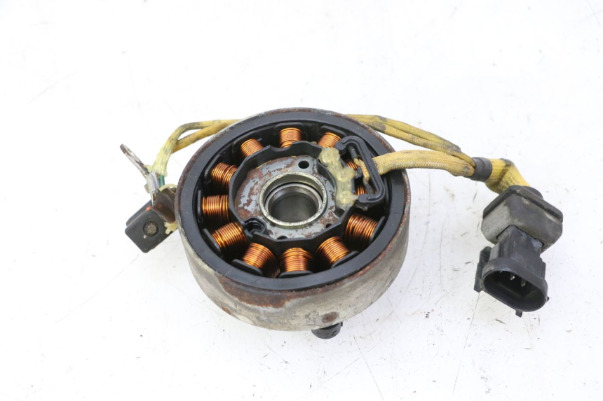 photo de ESTATOR PIAGGIO X9 EVOLUTION 125 (2003 - 2007) - Vista general del producto