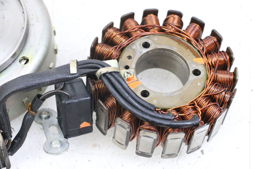 photo de ESTATOR KYMCO XCITING 250 (2006 - 2009) - Zoom estado de uso