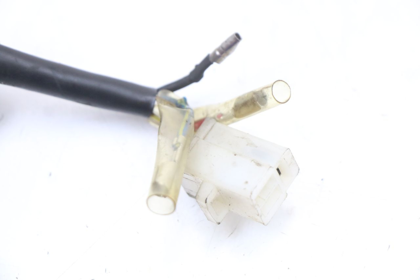 photo de ESTATOR UNIVERSAL BIKE ZN50QT-11B 50 (2018 - 2021) - Marcados y referencias originales