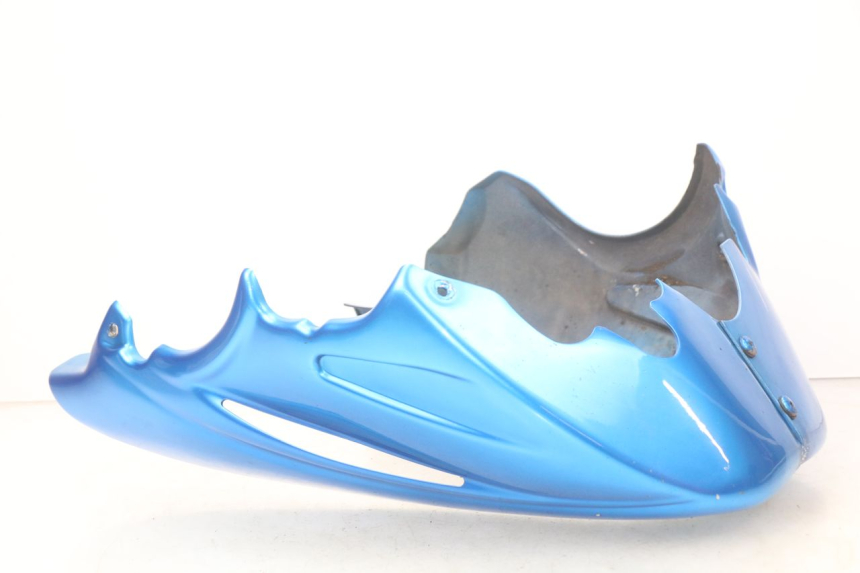 photo de PROTECTOR DE MOTOR KAWASAKI Z S 750 (2003 - 2006) - Vista principal