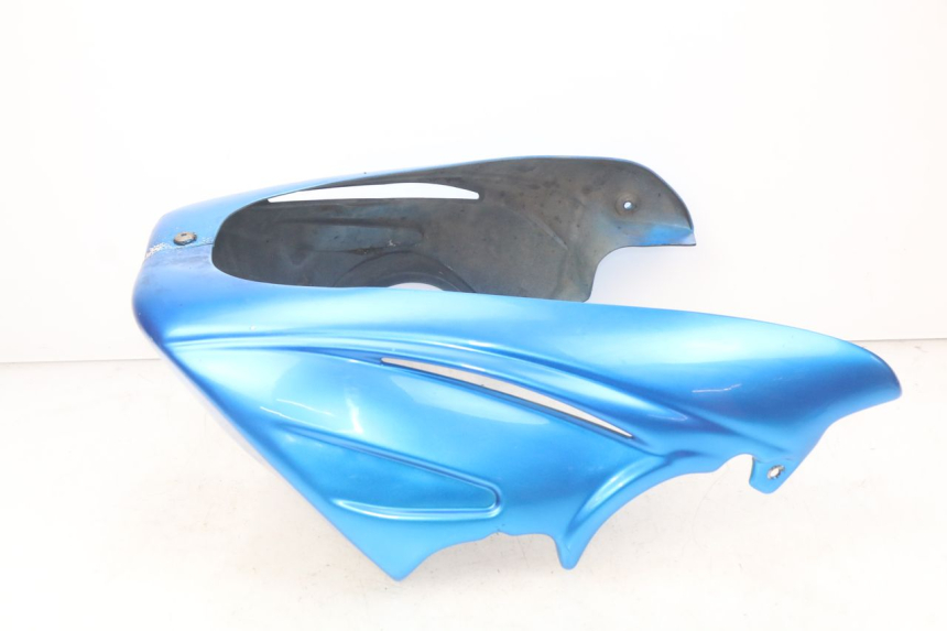 photo de PROTECTOR DE MOTOR KAWASAKI Z S 750 (2003 - 2006) - Detalle de la pieza