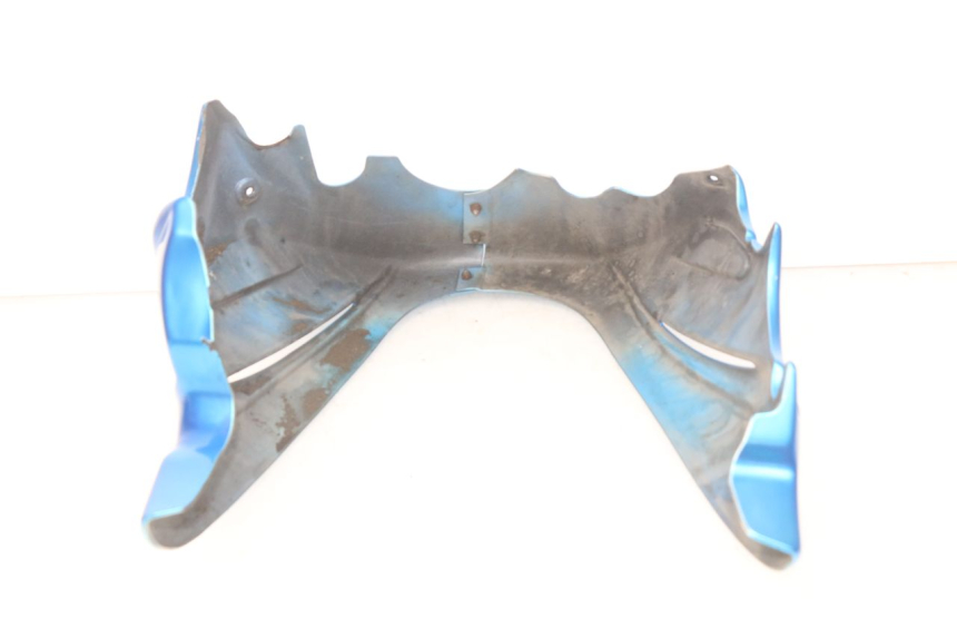 photo de PROTECTOR DE MOTOR KAWASAKI Z S 750 (2003 - 2006) - Primer plano técnico