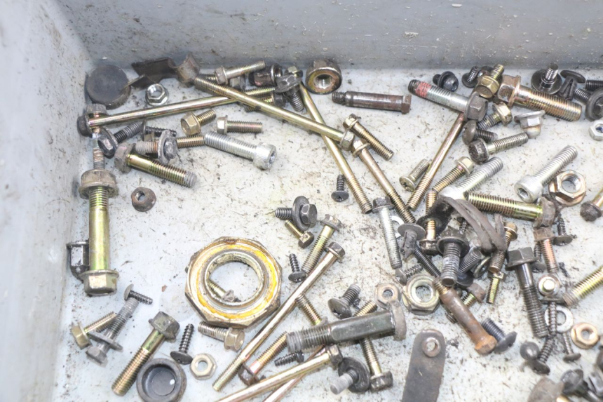 photo de BOLSA DE TORNILLERÍA TORNILLO KYMCO AGILITY 4T 50 (2005 - 2018) - Zoom estado de uso