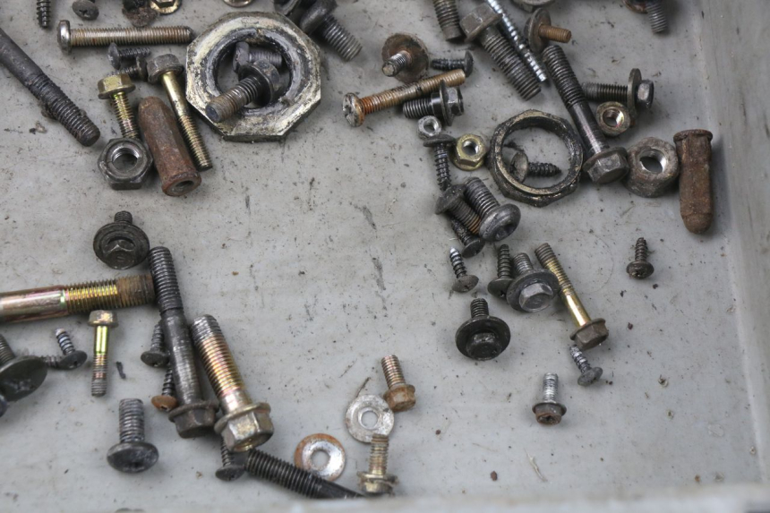 photo de BOLSA DE TORNILLERÍA TORNILLO KYMCO AGILITY 4T 50 (2005 - 2018) - Zoom estado de uso