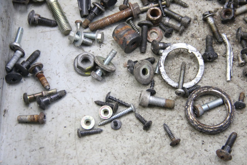 photo de BOLSA DE TORNILLERÍA TORNILLO DERBI BOULEVARD 50 (2009 - 2006) - Zoom estado de uso