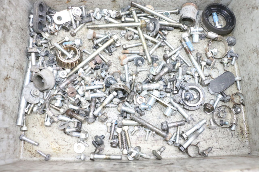 photo de TORNILLOS SUZUKI BURGMAN 650 (2013 - 2020) - Vista principal