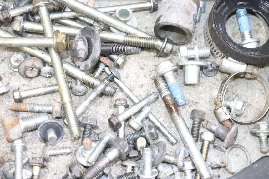 photo de TORNILLOS SUZUKI BURGMAN 650 (2013 - 2020) - Vista general del producto