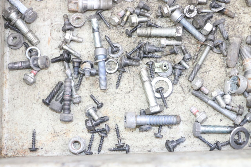 photo de BOLSA DE TORNILLERÍA TORNILLO PEUGEOT CITYSTAR 50 (2013 - 2017) - Zoom estado de uso