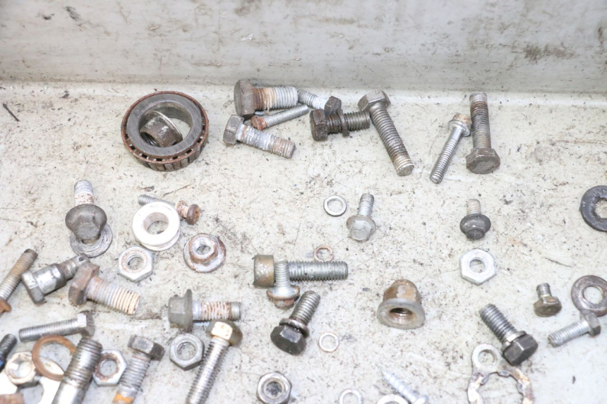 photo de TORNILLOS SKYTEAM DAX REPLICA 110 (2005 - 2015) - Primer plano técnico