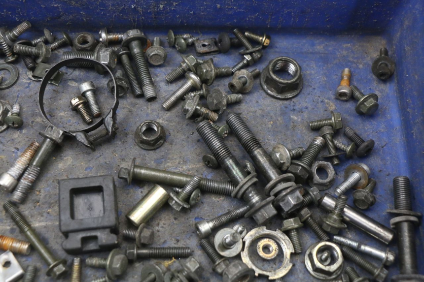 photo de TORNILLOS LONGJIA EASY MAX 125 (2020 - 2024) - Zoom estado de uso