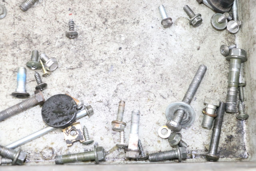 photo de BOLSA DE TORNILLERÍA TORNILLO JM MOTORS EVOLIS 4T 50 (2018 - 2022) - Zoom estado de uso