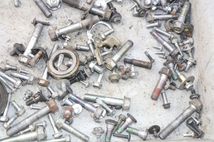 photo de BOLSA DE TORNILLERÍA TORNILLO HONDA FES PANTHEON 125 (2003 - 2007) - Zoom estado de uso