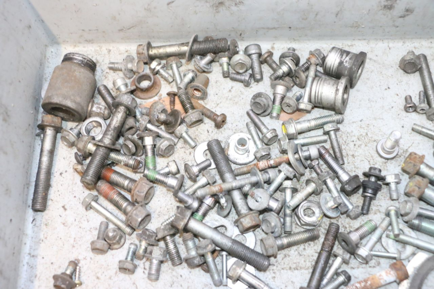 photo de BOLSA DE TORNILLERÍA TORNILLO HONDA FES PANTHEON 125 (2003 - 2007) - Zoom estado de uso