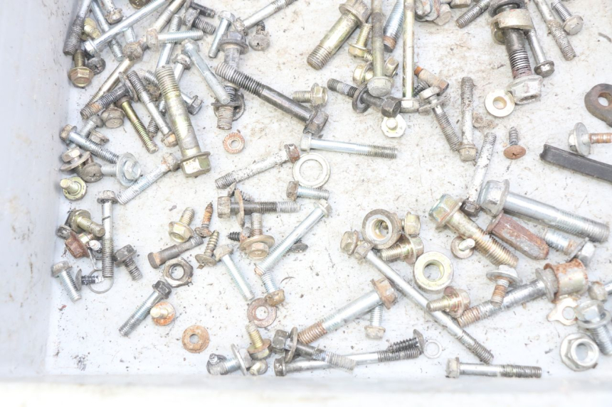 photo de BOLSA DE TORNILLERÍA TORNILLO SYM FIDDLE 2 50 (2008 - 2013) - Zoom estado de uso