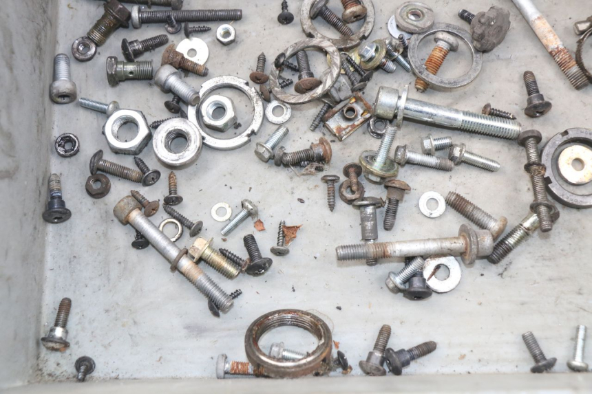 photo de BOLSA DE TORNILLERÍA TORNILLO PIAGGIO FLY 2T 50 (2004 - 2017) - Zoom estado de uso