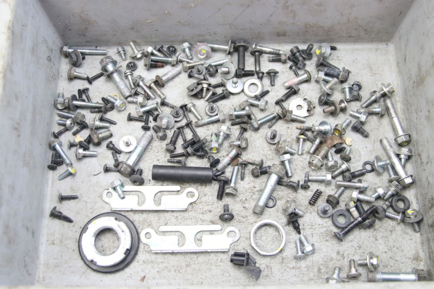 photo de BOLSA DE TORNILLERÍA TORNILLO HONDA FORZA 125 (2015 - 2016) - Vista principal