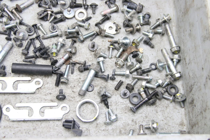 photo de BOLSA DE TORNILLERÍA TORNILLO HONDA FORZA 125 (2015 - 2016) - Zoom estado de uso