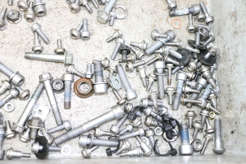 photo de TORNILLOS BMW G310 R 310 (2016 - 2020) - Zoom estado de uso