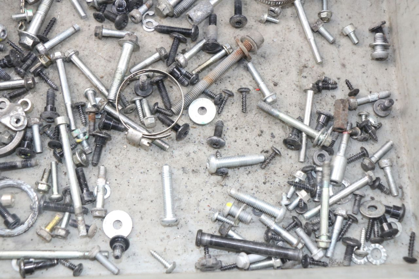 photo de BOLSA DE TORNILLERÍA TORNILLO PIAGGIO LIBERTY IGET 4T 50 (2015 - 2020) - Zoom estado de uso