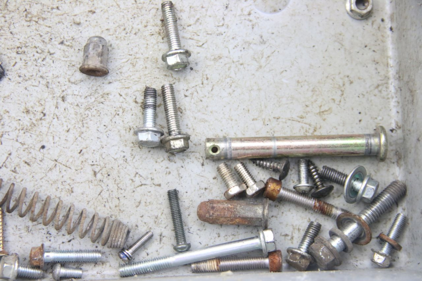 photo de TORNILLOS VENESI LOWIGI RETRO JJ50QT-3 50 (2020 - 2022) - Zoom estado de uso