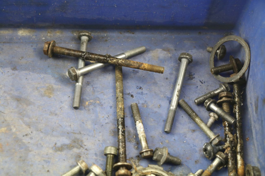 photo de BOLSA DE TORNILLERÍA TORNILLO PEUGEOT LUDIX BLASTER 50 (2006 - 2014) - Zoom estado de uso