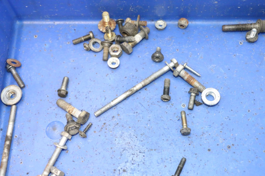 photo de BOLSA DE TORNILLERÍA TORNILLO PEUGEOT LUDIX 50 (2005 - 2007) - Zoom estado de uso