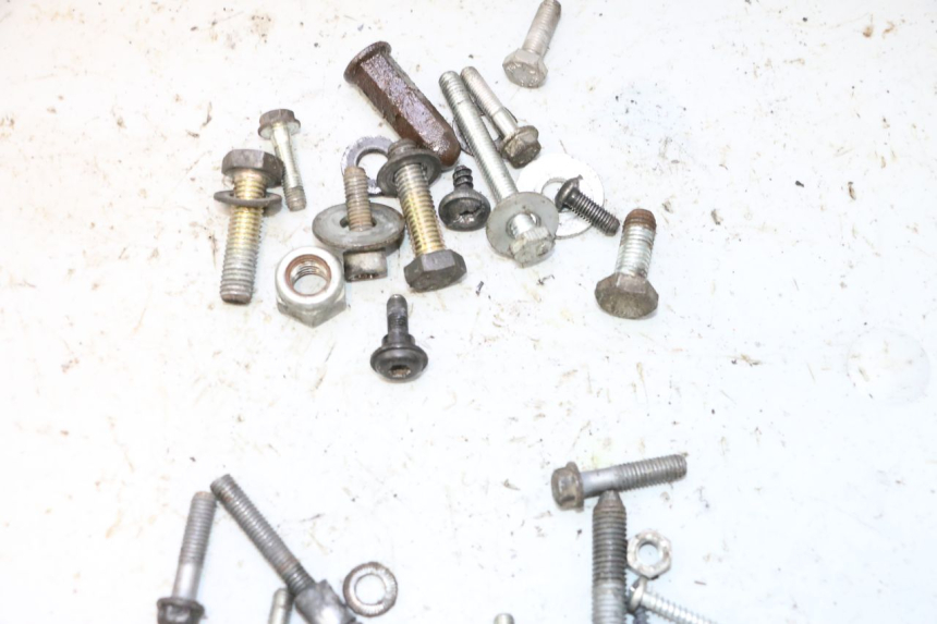 photo de BOLSA DE TORNILLERÍA TORNILLO PEUGEOT LUDIX SNAKE 2T 50 (2004 - 2014) - Zoom estado de uso