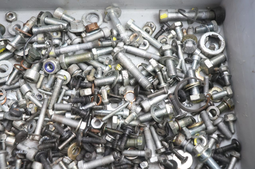 photo de BOLSA DE TORNILLERÍA TORNILLO PIAGGIO MP3 LT 400 (2007 - 2012) - Zoom estado de uso