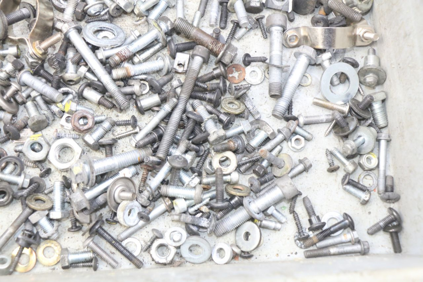 photo de BOLSA DE TORNILLERÍA TORNILLO PIAGGIO MP3 500 (2011 - 2015) - Zoom estado de uso