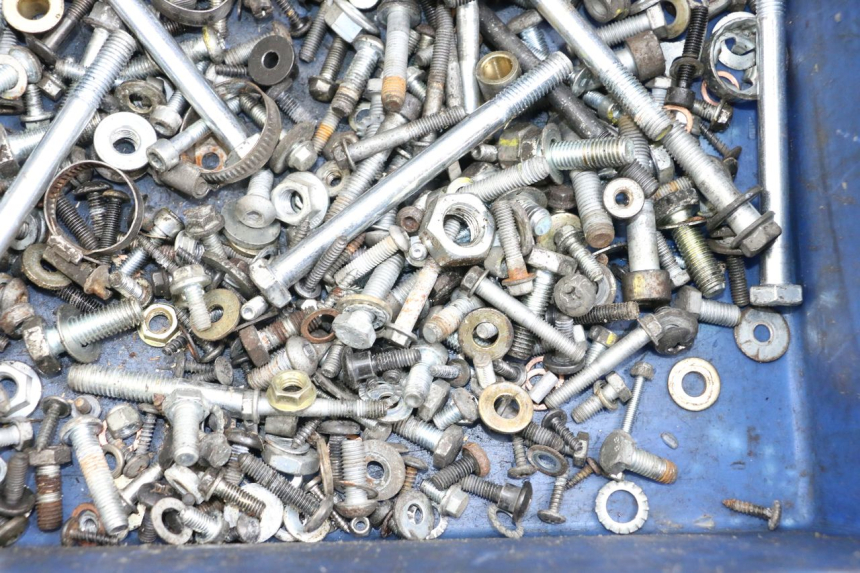 photo de BOLSA DE TORNILLERÍA TORNILLO PIAGGIO MP3 500 (2011 - 2015) - Zoom estado de uso