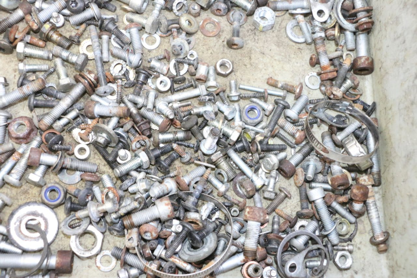 photo de BOLSA DE TORNILLERÍA TORNILLO PIAGGIO MP3 RL 250 (2006 - 2010) - Zoom estado de uso