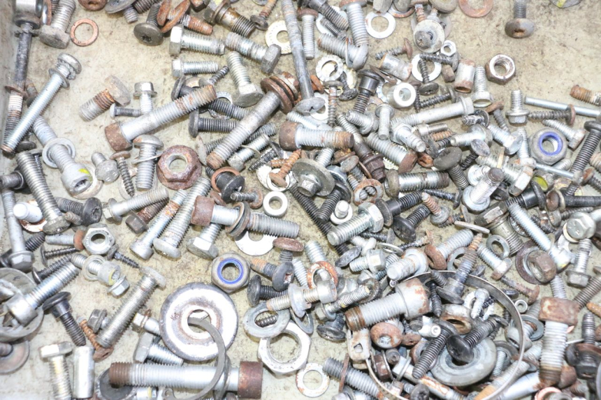 photo de BOLSA DE TORNILLERÍA TORNILLO PIAGGIO MP3 RL 250 (2006 - 2010) - Otra perspectiva