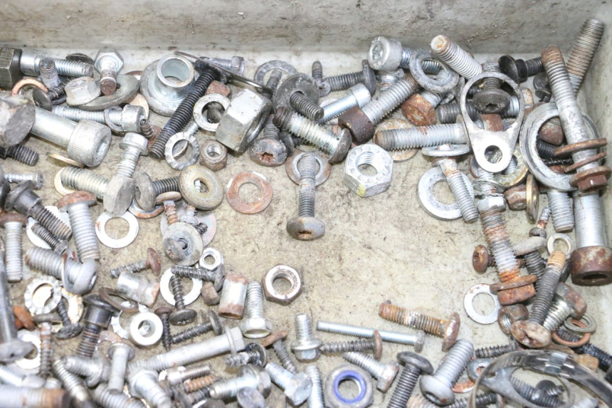 photo de BOLSA DE TORNILLERÍA TORNILLO PIAGGIO MP3 RL 250 (2006 - 2010) - Vista general del producto