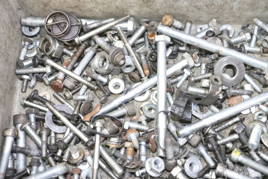 photo de BOLSA DE TORNILLERÍA TORNILLO PIAGGIO MP3 RL 250 (2006 - 2010) - Zoom estado de uso