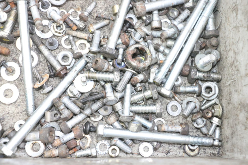 photo de BOLSA DE TORNILLERÍA TORNILLO PIAGGIO MP3 RL 250 (2006 - 2010) - Primer plano técnico