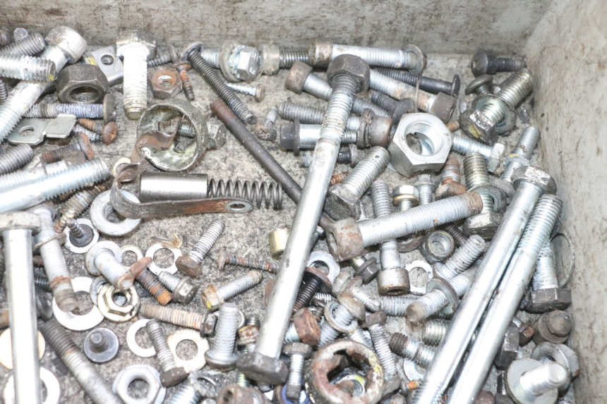 photo de BOLSA DE TORNILLERÍA TORNILLO PIAGGIO MP3 RL 250 (2006 - 2010) - Vista general del producto