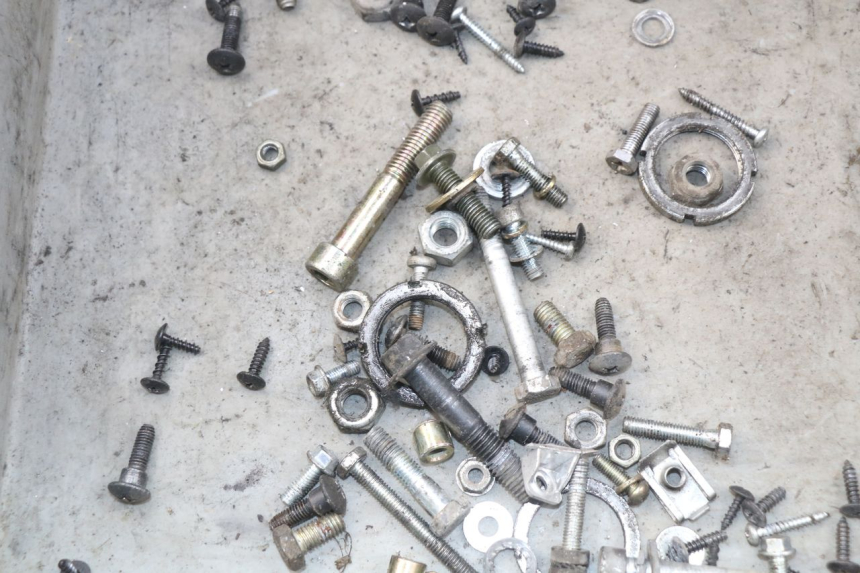 photo de BOLSA DE TORNILLERÍA TORNILLO PIAGGIO NEW TYPHOON 50 (2010 - 2017) - Zoom estado de uso