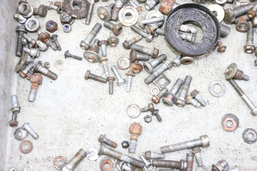 photo de TORNILLOS KTM SUPERENDURO R 950 (2005 - 2009) - Otra perspectiva