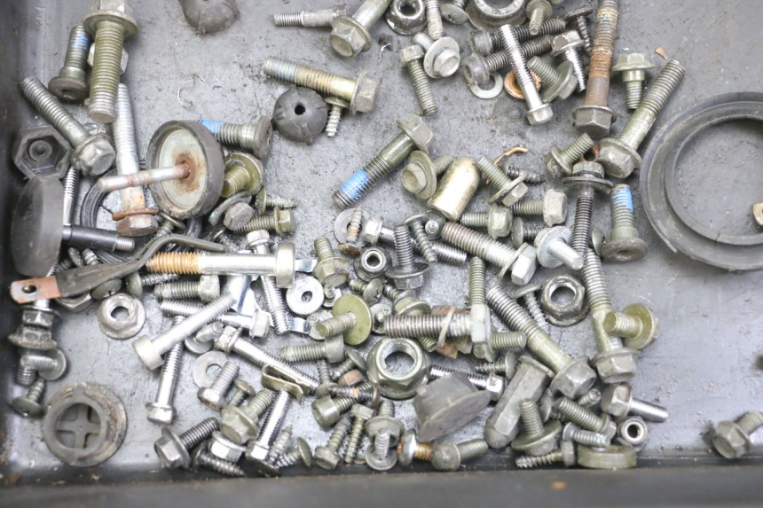 photo de BOLSA DE TORNILLERÍA TORNILLO PEUGEOT TWEET 4T 50 (2018 - 2022) - Zoom estado de uso