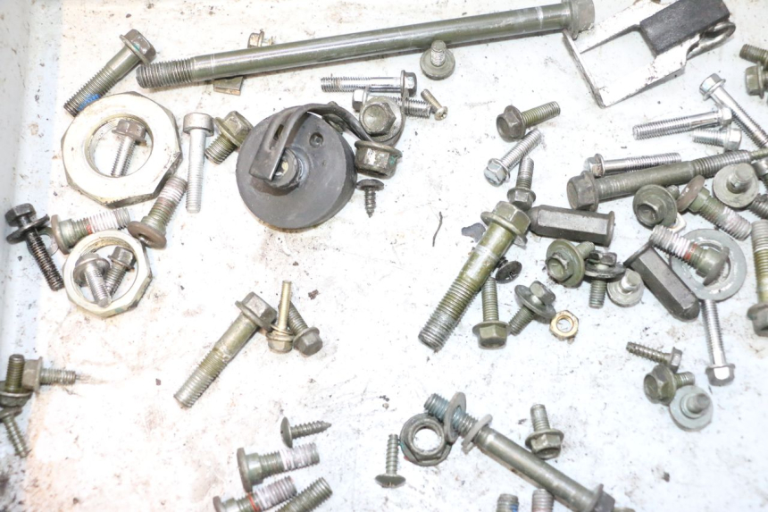 photo de BOLSA DE TORNILLERÍA TORNILLO PEUGEOT TWEET 4T 50 (2018 - 2022) - Zoom estado de uso