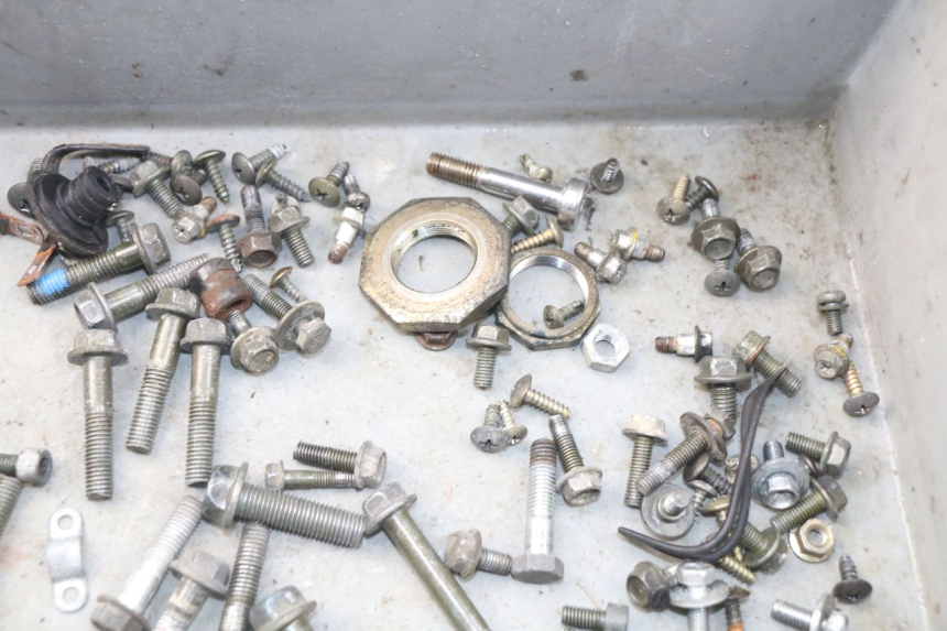 photo de BOLSA DE TORNILLERÍA TORNILLO PEUGEOT TWEET 125 (2010 - 2017) - Zoom estado de uso