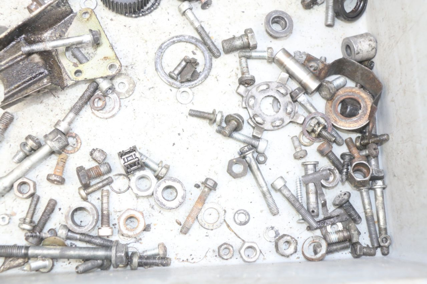 photo de BOLSA DE TORNILLERÍA TORNILLO PIAGGIO TYPHOON 50 (1993 - 1999) - Zoom estado de uso