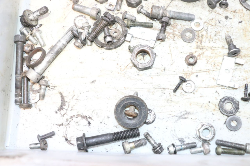photo de BOLSA DE TORNILLERÍA TORNILLO PIAGGIO VESPA PRIMAVERA 2T 50 (2013 - 2018) - Zoom estado de uso