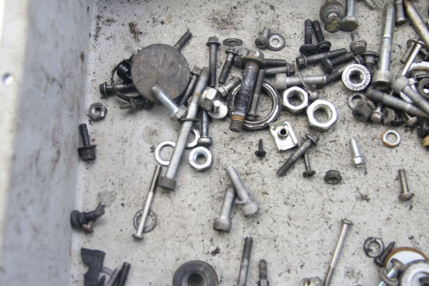 photo de BOLSA DE TORNILLERÍA TORNILLO PIAGGIO VESPA S 2T 50 (2007 - 2014) - Zoom estado de uso