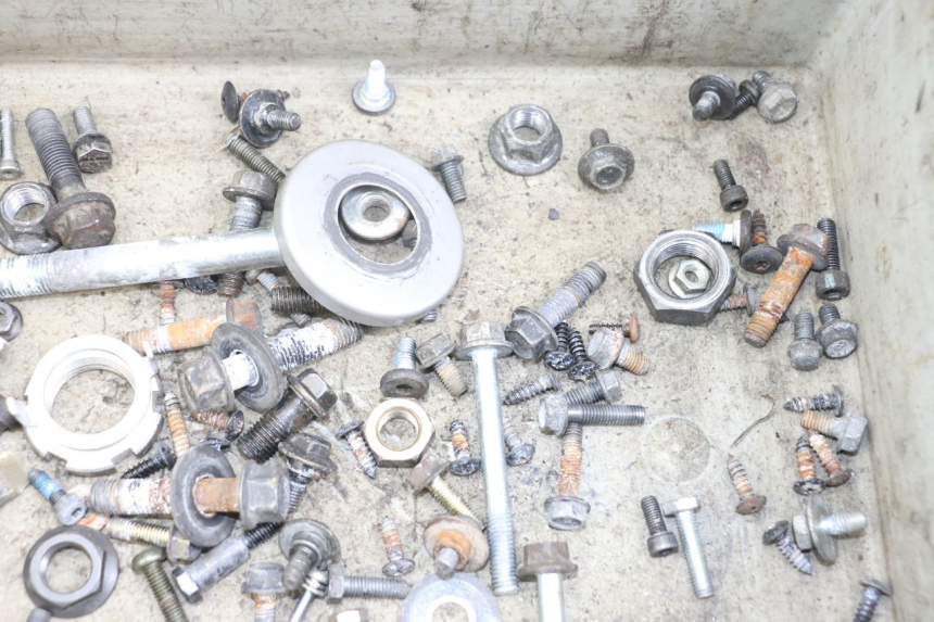 photo de BOLSA DE TORNILLERÍA TORNILLO YAMAHA XMAX X-MAX 125 (2006 - 2009) - Zoom estado de uso