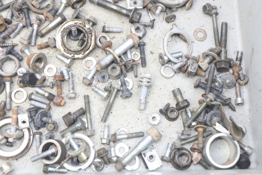 photo de BOLSA DE TORNILLERÍA TORNILLO PIAGGIO X7 125 (2007 - 2013) - Zoom estado de uso