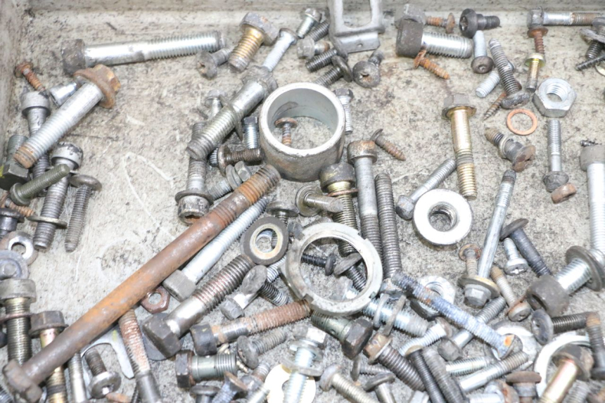 photo de BOLSA DE TORNILLERÍA TORNILLO PIAGGIO X8 125 (2004 - 2007) - Zoom estado de uso